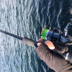 期待の大潮でしたが