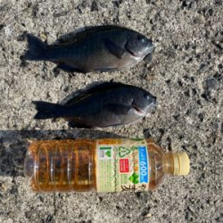 秋のファミリーフィッシング