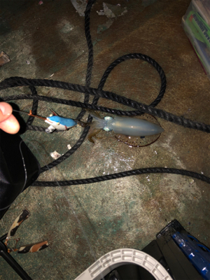 トローリングエギ