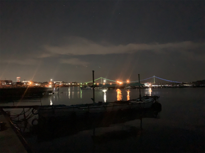 アオリイカ②&タコ⑤