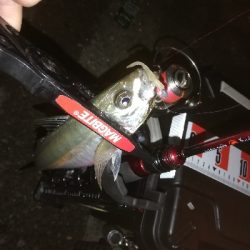 アジング　合わせ復習