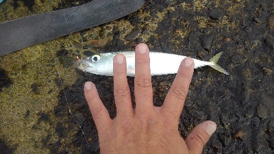 小物ばかり(>_<)