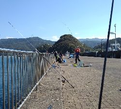 なんとかボウズわ逃れました