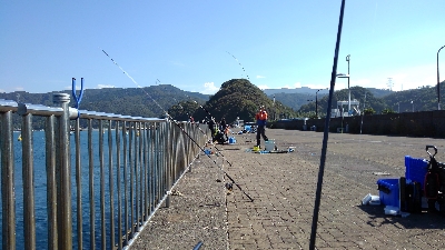 なんとかボウズわ逃れました