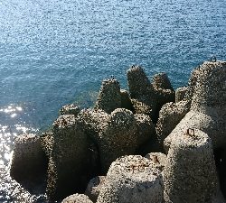 カニクリームコロッケ