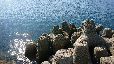 カニクリームコロッケ