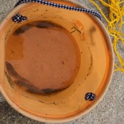 ハゼ釣りました