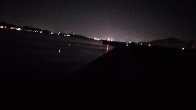 10/20釣果タチウオ渋い…