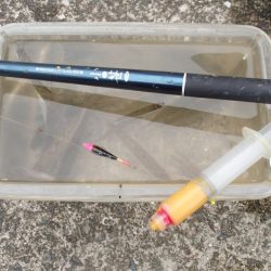 小物釣りで気分転換