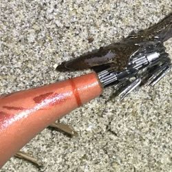 1時間隙間エギング