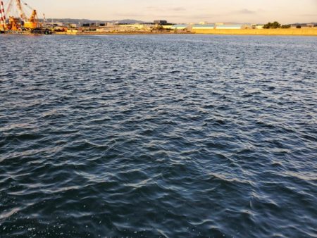 何でも釣れるやつ。