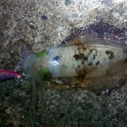 一番いい朝でした。