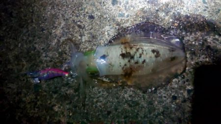 一番いい朝でした。