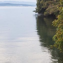 初めてのランカーシーバス