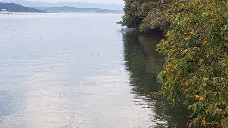 初めてのランカーシーバス