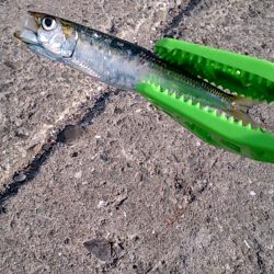 風に負けました