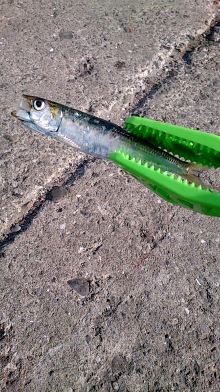 風に負けました