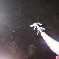 サゴシ釣り！！