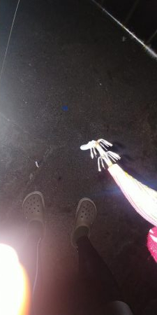 サゴシ釣り！！