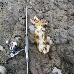 なかなか厳しくなってます( ノД`)…