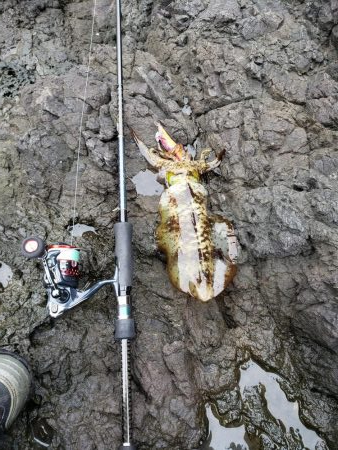 なかなか厳しくなってます( ノД`)…