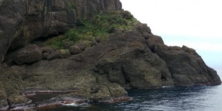 二回目の磯！！玉川地磯