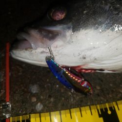夜練釣行