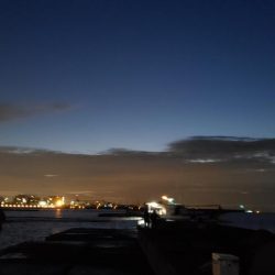 ショアジギング