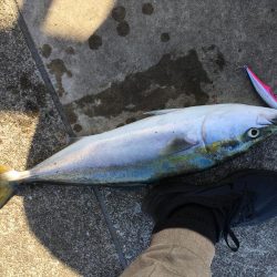 全部が美味いやつ!3目達成