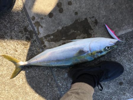 全部が美味いやつ!3目達成