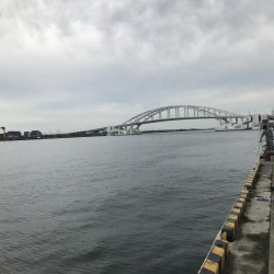 舞洲、青物で湧く!