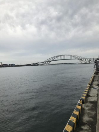 舞洲、青物で湧く!