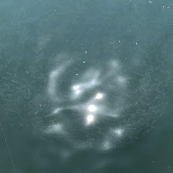 検見川突堤にて