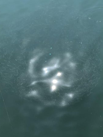 検見川突堤にて