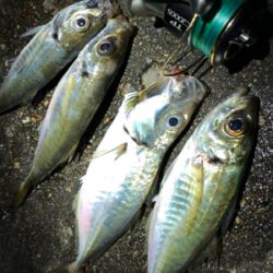 朝ご飯を仕入れに