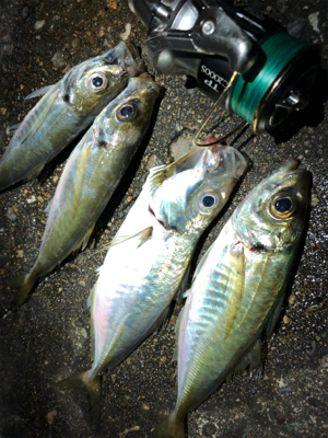 朝ご飯を仕入れに