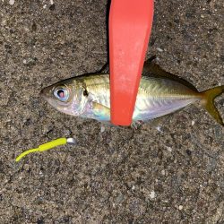 雨の中でも釣り