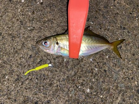 雨の中でも釣り