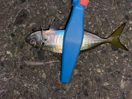 ボトムアジング