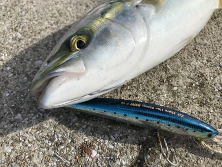 悔しい思いからの