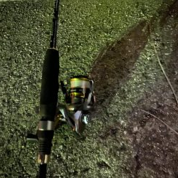 台風後の渋いアジング