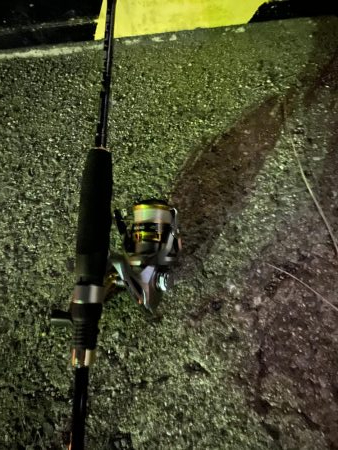 台風後の渋いアジング