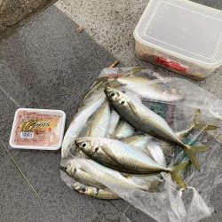 尺アジ釣り