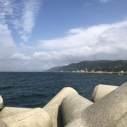 生き餌に勝るものなし