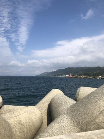 生き餌に勝るものなし