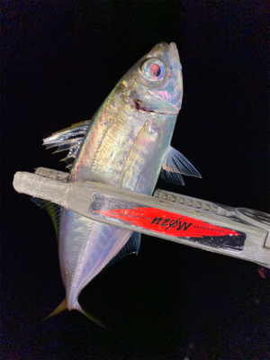 スプリットリグでアジング