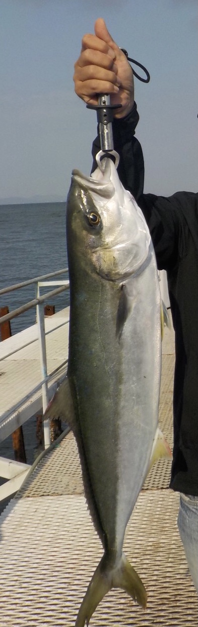 でかっ！めちゃ引いた〜