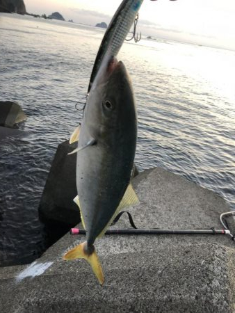 阿南でショアジギ