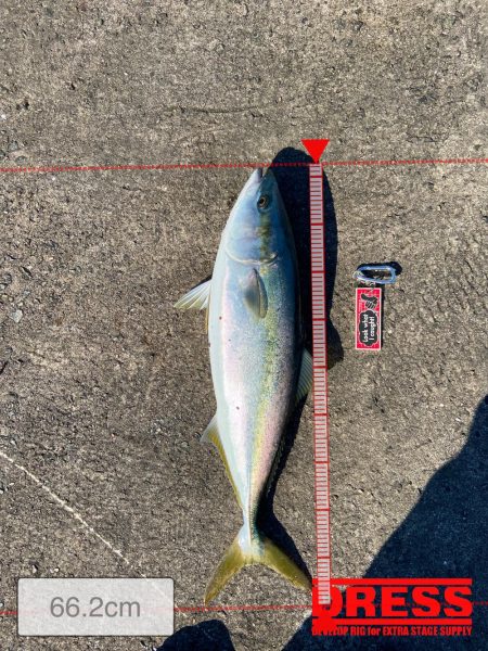 メジロおかわり！