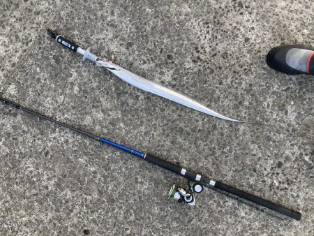 秋のタチウオシーズン到来。マズメ朝練!!